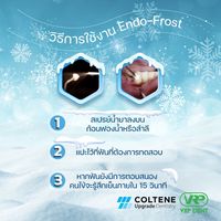 Coltene Endo Frost Endo Ice  -3
